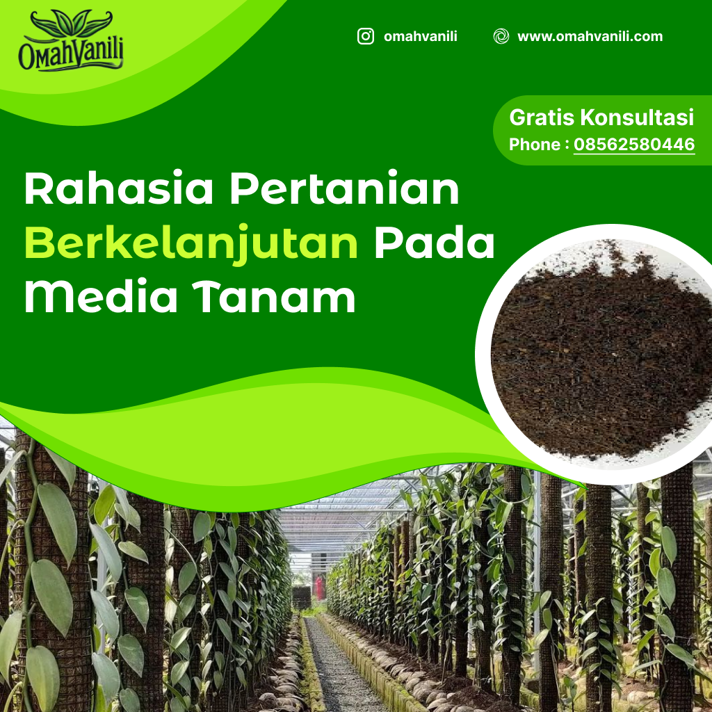 Media Tanam Alami Terbaik: Rahasia Pertanian Berkelanjutan