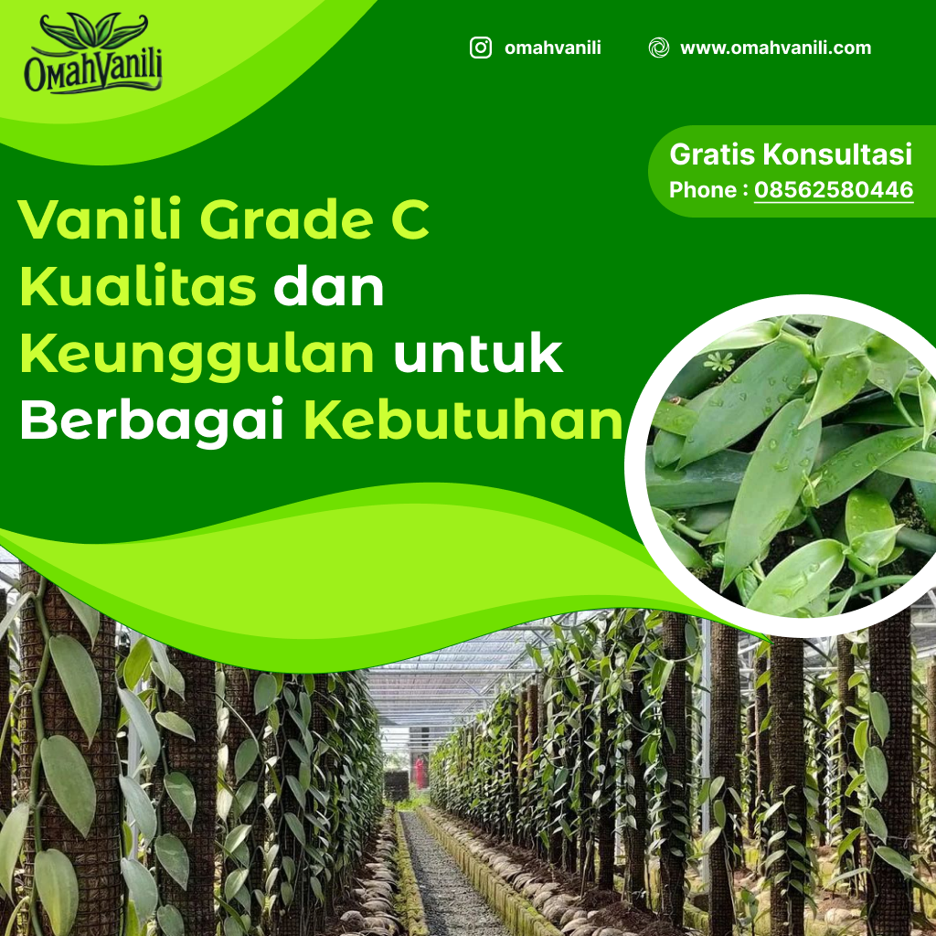 Vanili Bubuk Grade C: Kualitas dan Keunggulannya untuk Berbagai Kebutuhan Dapur