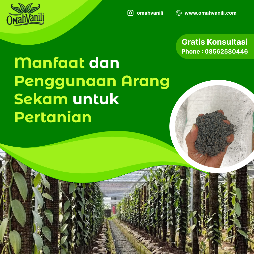 Arang Sekam: Manfaat dan Penggunaannya untuk Pertanian