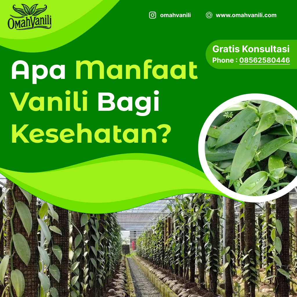 Apa manfaat kesehatan dari ekstrak vanili?