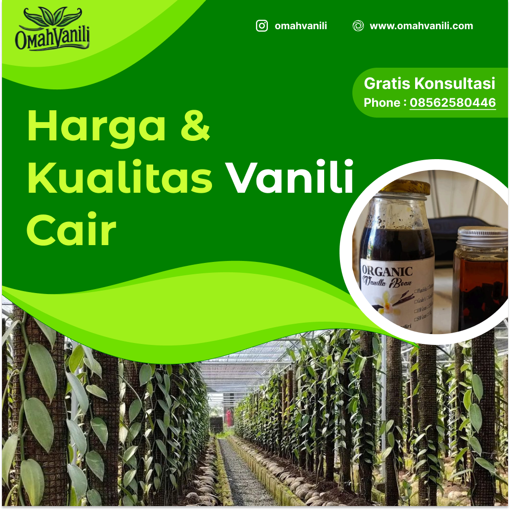 Berapa Harga Vanili Cair? Mengetahui Kualitas dan Harga yang Tepat untuk Kebutuhan Anda