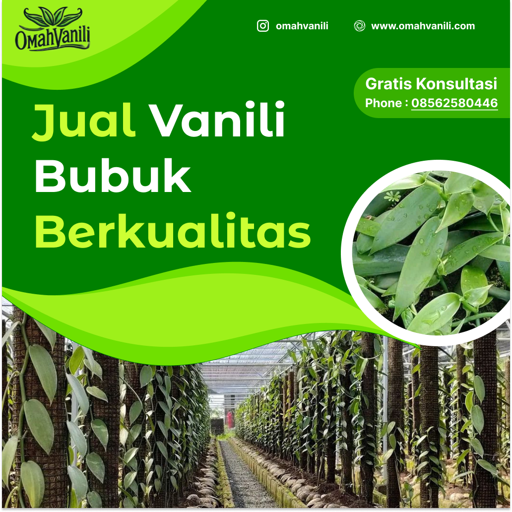 Jual Vanili Bubuk Berkualitas untuk Beragam Kebutuhan Kuliner