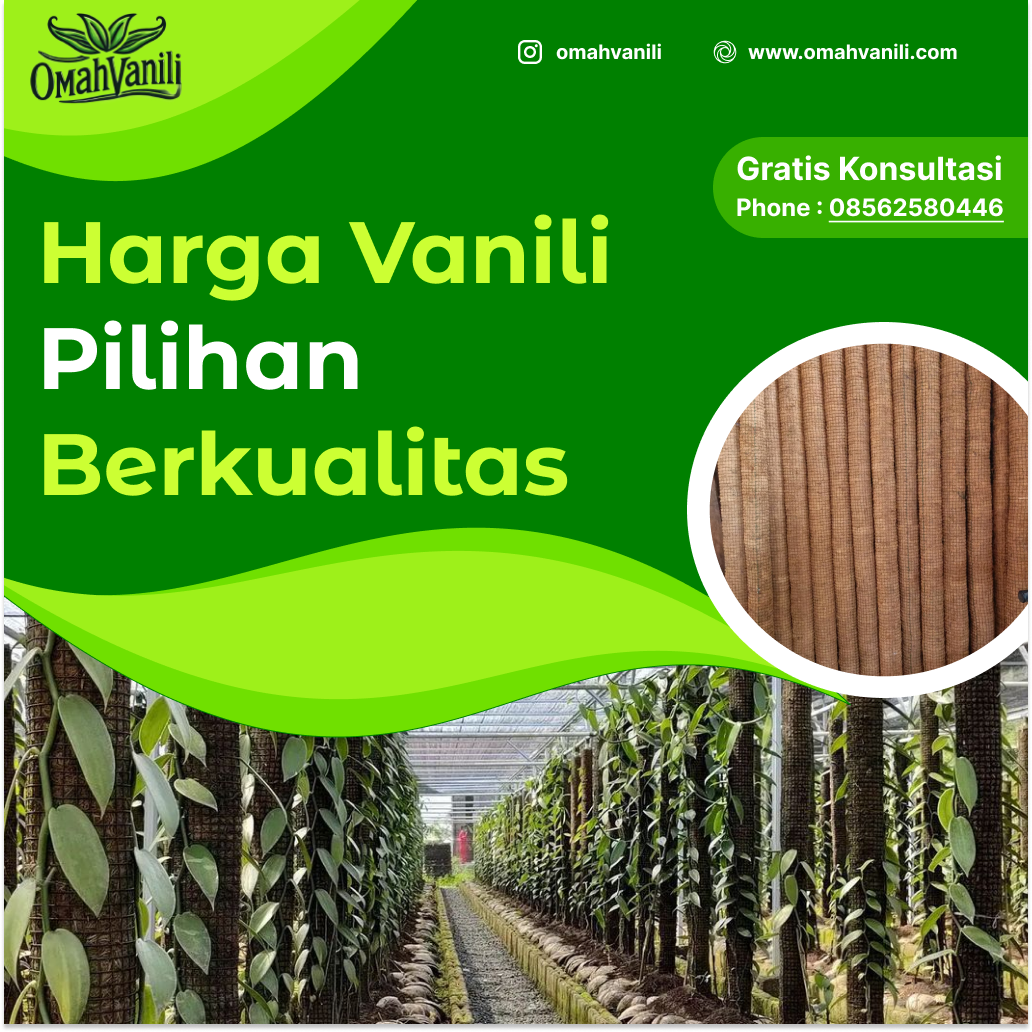 Harga Vanili Kering di Omah Vanili: Pilihan Berkualitas untuk Anda