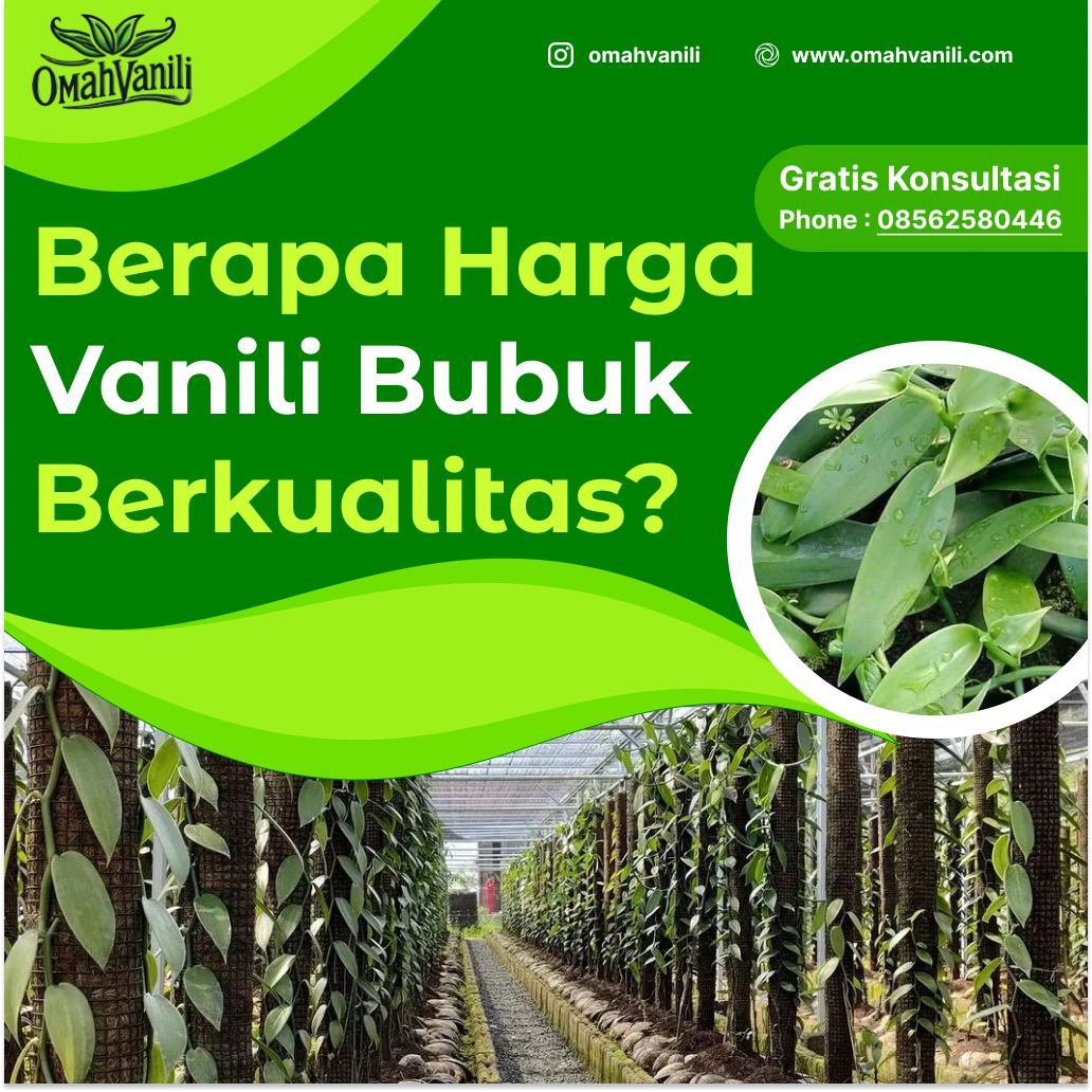 Berapa Harga Vanili Bubuk Sachet? Vanili Bubuk Berkualitas