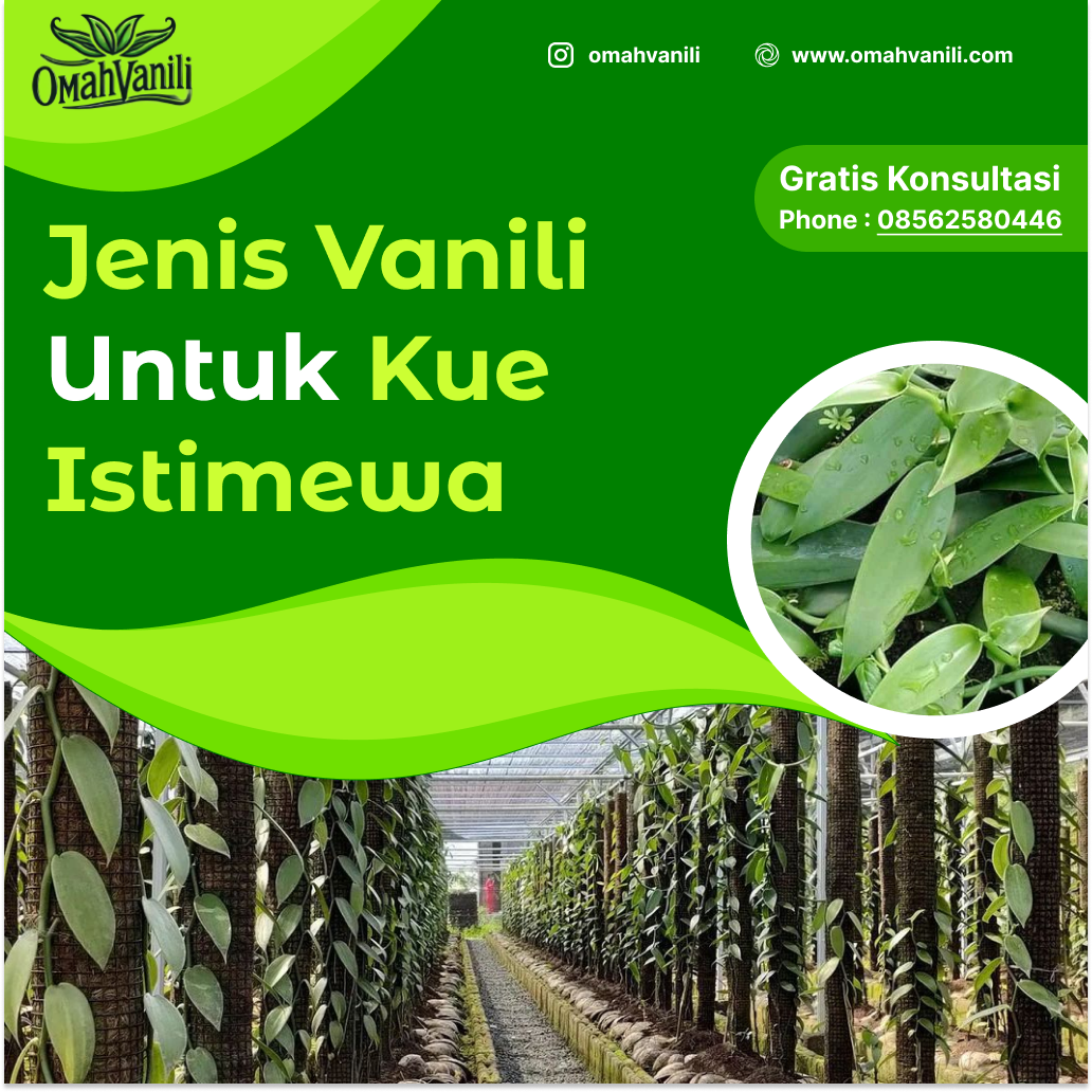 Ekstrak Vanili untuk Kue: Rahasia Rasa Istimewa 