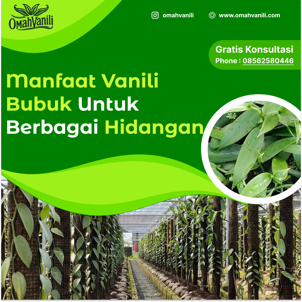 Vanili Bubuk: Manfaat Dalam Berbagai Hidangan
