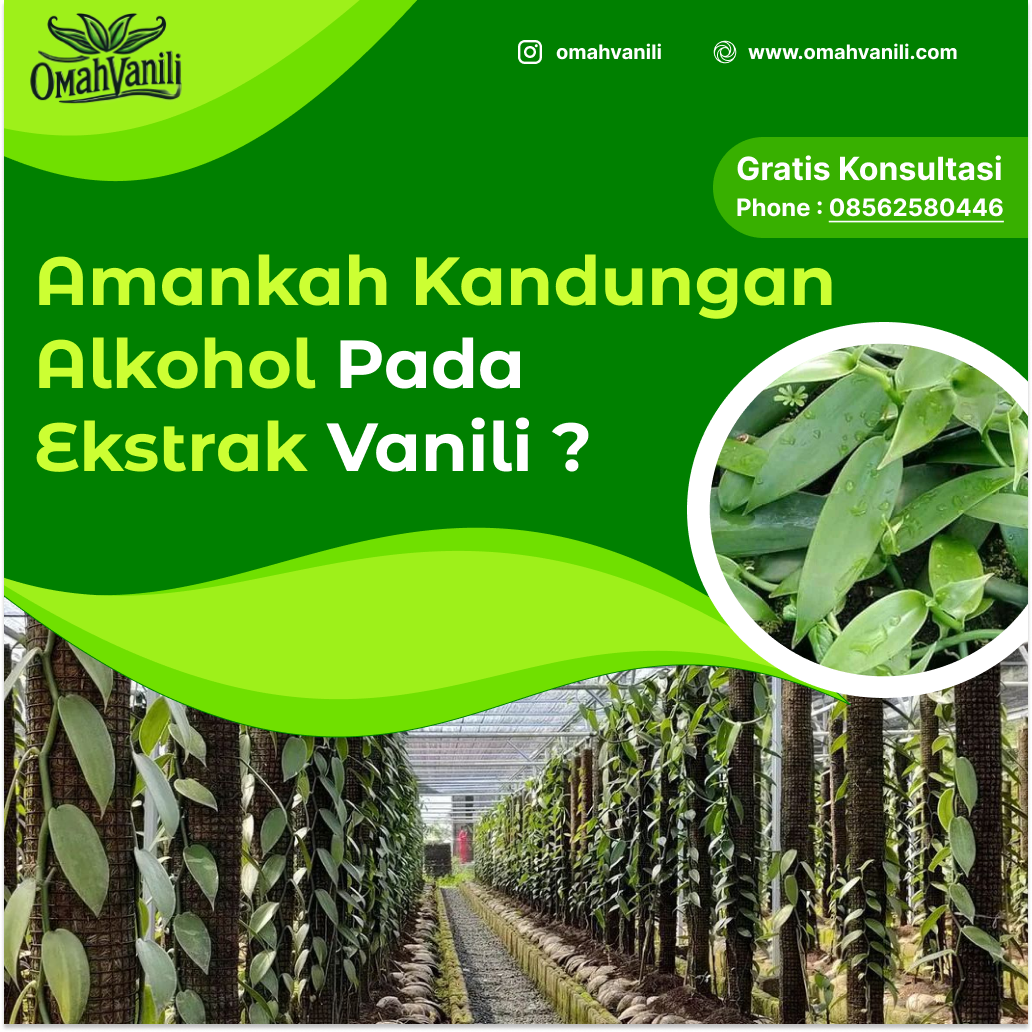 Ekstrak Vanili: Kandungan Alkohol, Manfaat, dan Informasi Penting