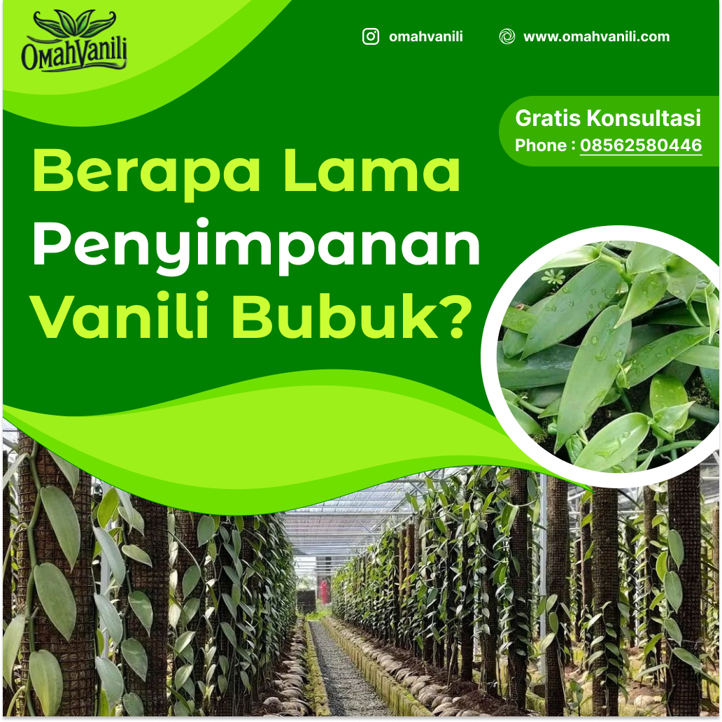 Berapa Lama Bubuk Vanili Bertahan? Tips Agar Bubuk Vanili Tetap Awet